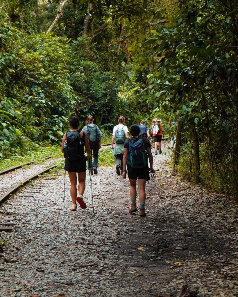 Trek Inca Jungle
