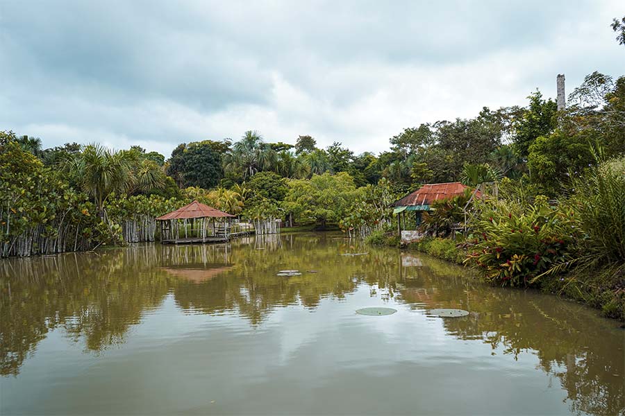 Explora la Reserva Pacaya Samiria
