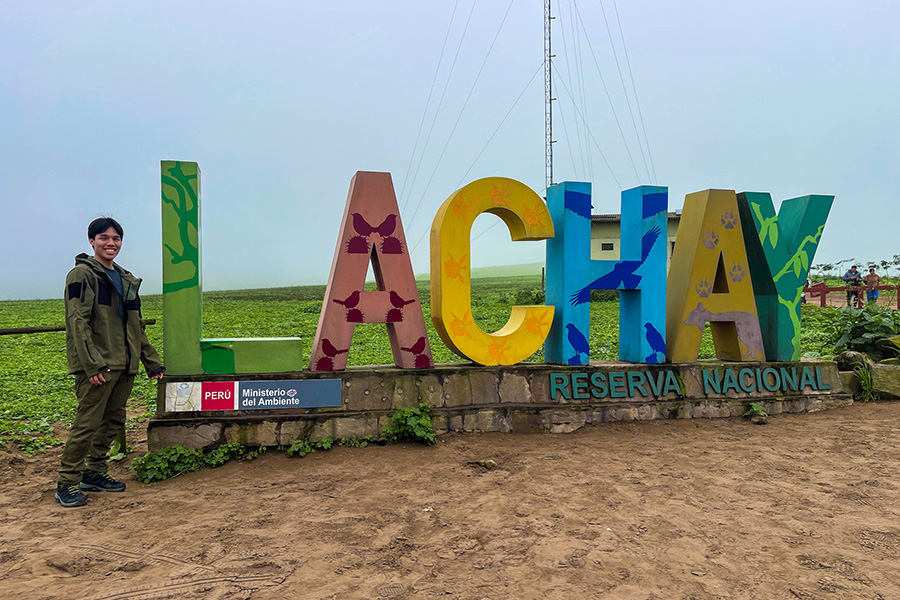 Full Day Lomas de Lachay