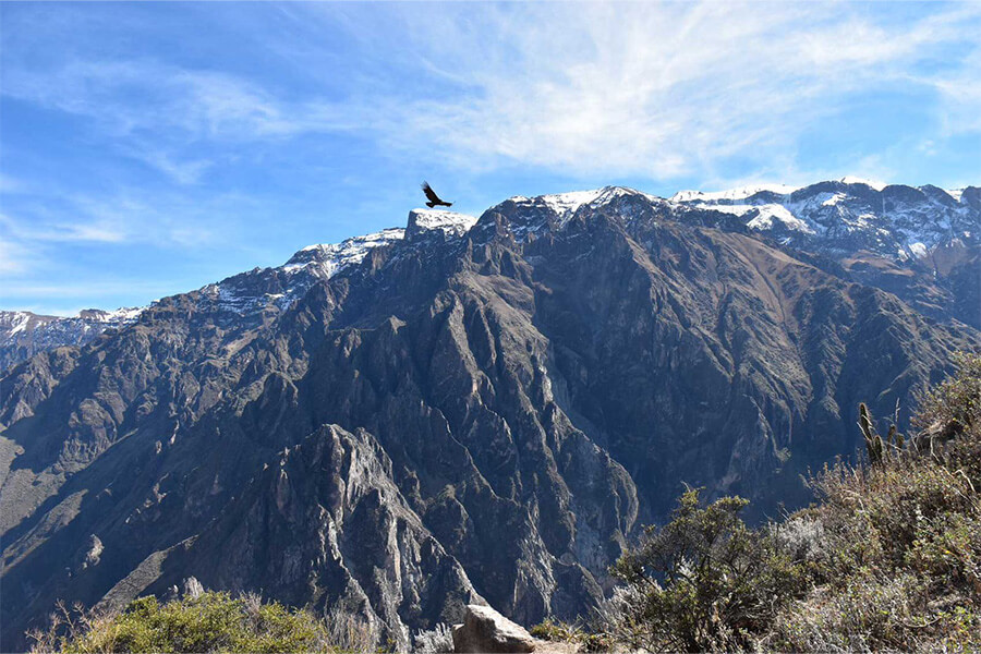 Tour de Trekking al Cañón del Colca