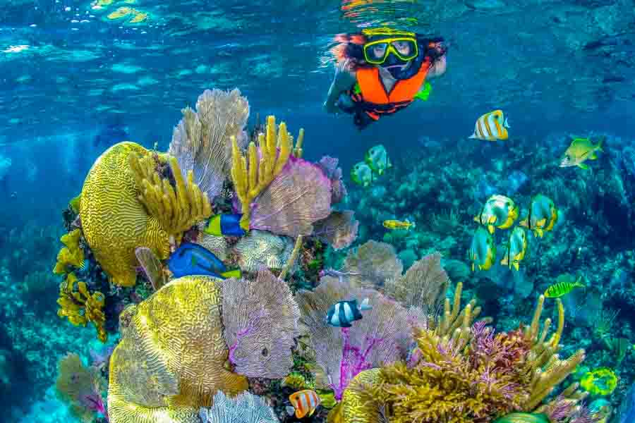 Tour Privado en Puerto Morelos: Snorkel y Aventura en Arrecifes