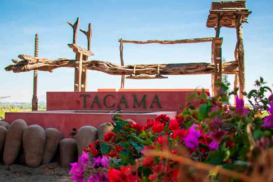 Experiencia Exclusiva en Ica: Recorrido por los Viñedos y Huacachina