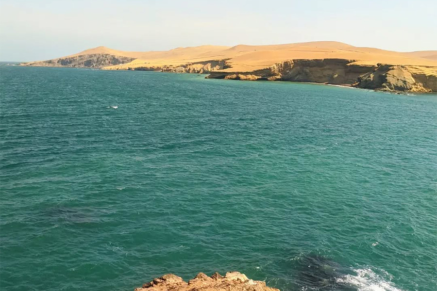 Recorrido a la Reserva Nacional de Paracas