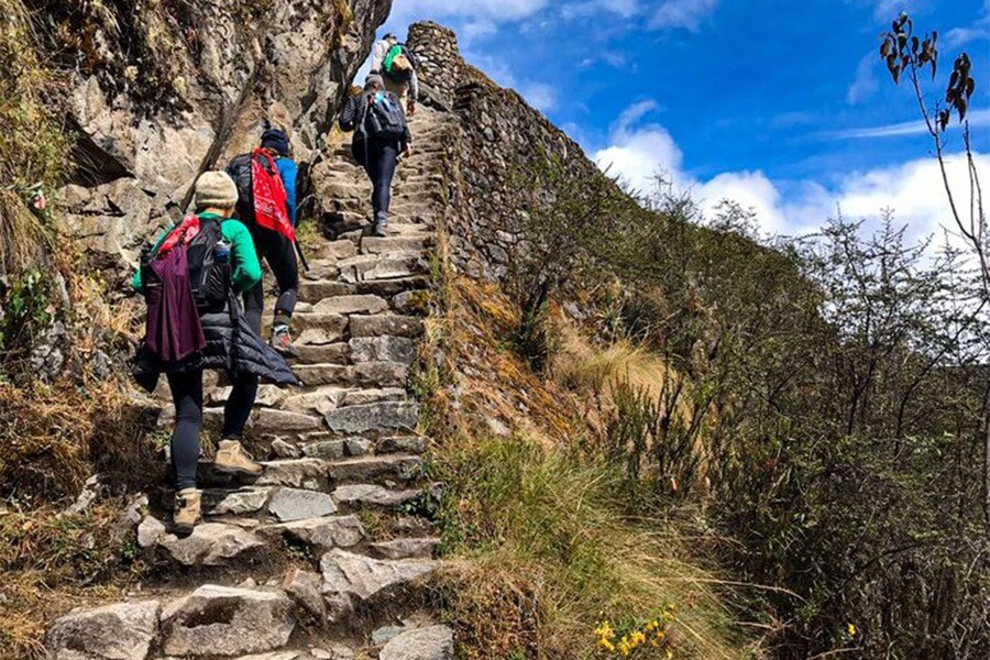 Camping Camino Inca corto