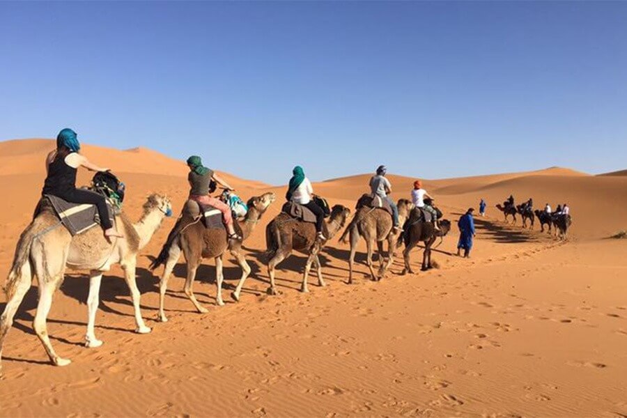 Recorrido en dromedarios de Ica