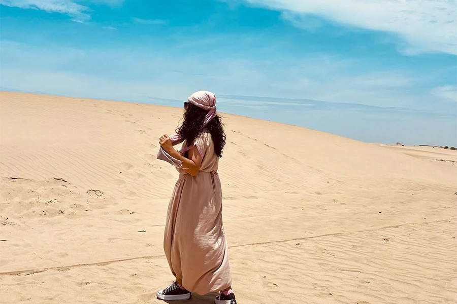 Dromedarios desde Ica