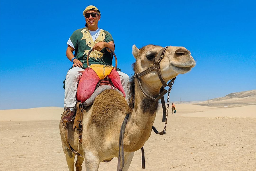 Paseo en Camello en Ica