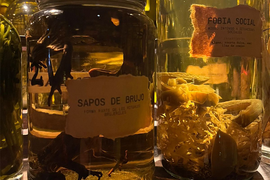 Experiencia Gastronómica en Paco Yonque