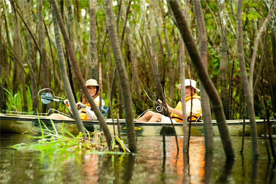 Excursión por la Amazonía