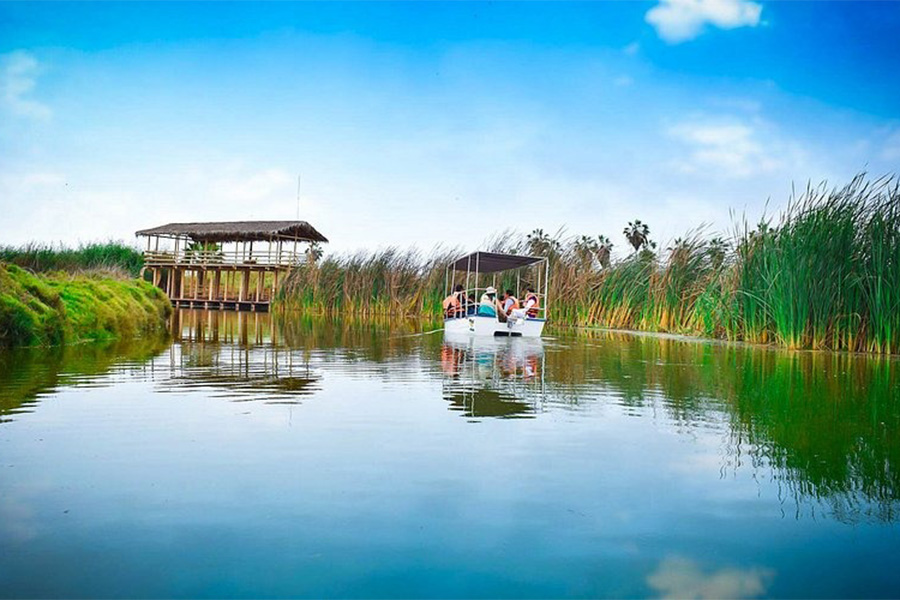 Pantanos de Villa y Chilca