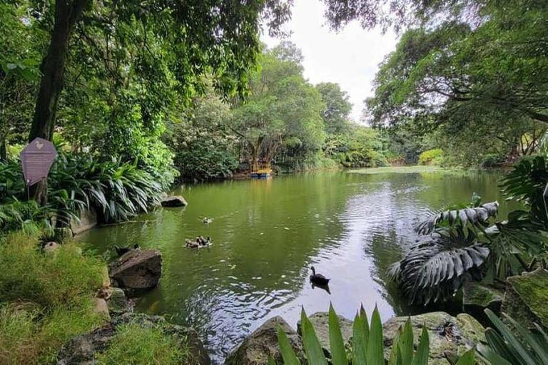 Qué hacer en Medellin